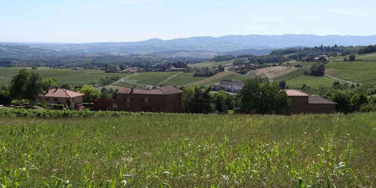 Notre quotidien à Theizé